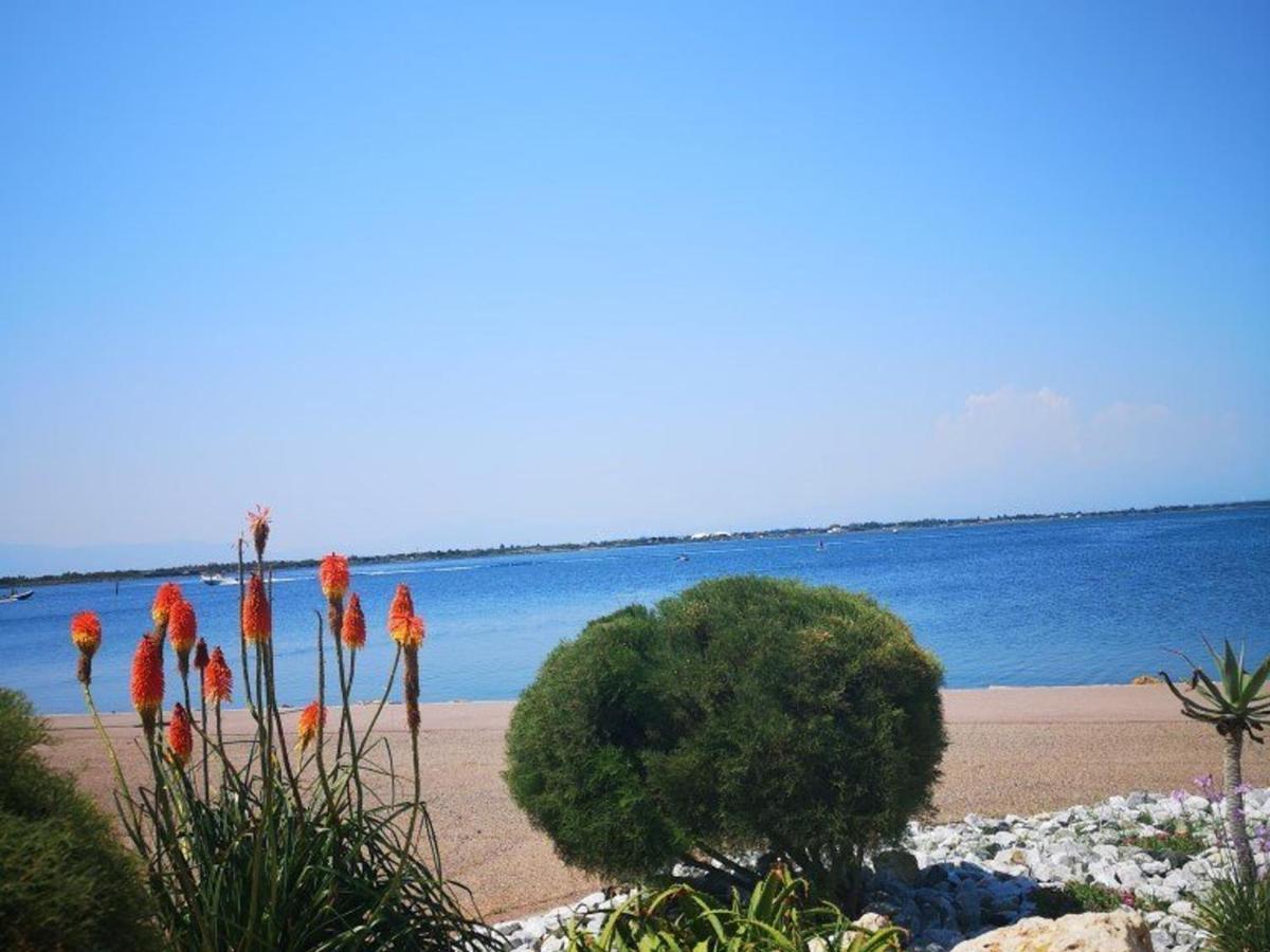 T2 4 Pers Le Barcares Rdc Piscine Parking Animaux - Fr-1-195-68 Apartment Екстериор снимка